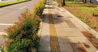 Paver sidewalk along a landscaped bed
